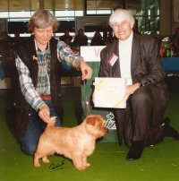 Norfolk Terrier: Allright Hyperion